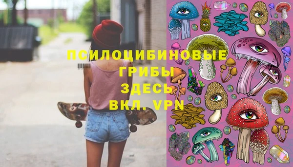 герыч Абаза