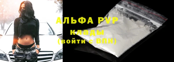 СК Абинск